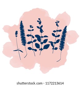 Botanical illustration with herbs, plants, flowers and leaves. Isolated vector silhouettes on watercolor splash background. Graphic design for background, card, web banner, poster, invitation. 