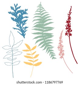 Botanical illustration with herbs, plants, flowers and leaves. Isolated vector silhouettes on white background. Graphic design for background, card, web banner, poster, invitation.