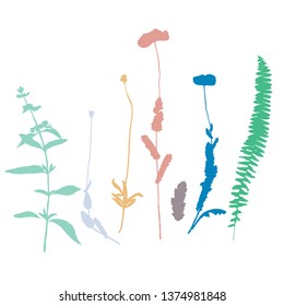 Botanical illustration with herbs, plants, flowers and leaves. Isolated vector silhouettes on white background. Graphic design for background, card, web banner, poster, invitation.