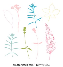 Botanical illustration with herbs, plants, flowers and leaves. Isolated vector silhouettes on white background. Graphic design for background, card, web banner, poster, invitation.