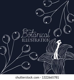 botanical illustration label with plants