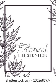 botanical illustration label with plants