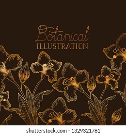 botanical illustration label with plants