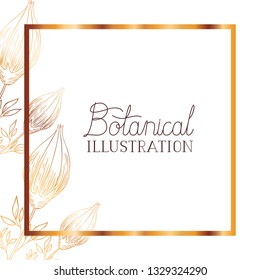 botanical illustration label with plants