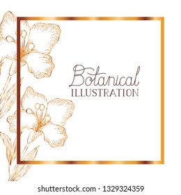 botanical illustration label with plants