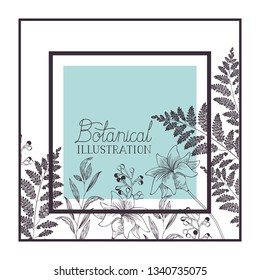 botanical illustration label with plants