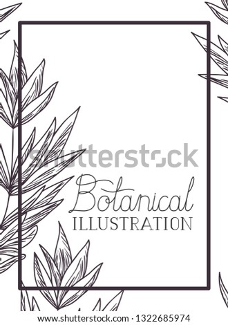 botanical illustration label with plants