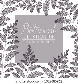 botanical illustration label with plants and herbs
