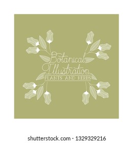 botanical illustration label with plants and herbs