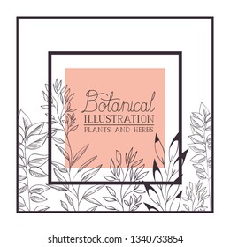 botanical illustration label with plants and herbs