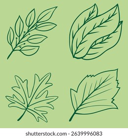 Botanical Illustration Line Art Vector Set, Minimal Leaves and Nature Drawing for Wall Prints, Branding, and Backgrounds