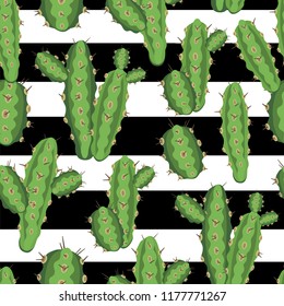 botanical illustration with Peruvian cactus. Vector seamless pattern on black and white striped background. Summer plants.