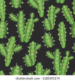 botanical illustration with Peruvian cactus. Vector seamless pattern on black background. Summer plants.