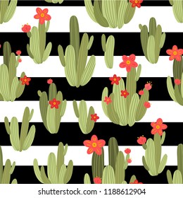 botanical illustration with Peruvian cactus. Vector seamless pattern on black and white striped background. Summer plants.