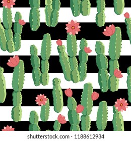 botanical illustration with Peruvian cactus. Vector seamless pattern on black and white striped background. Summer plants.