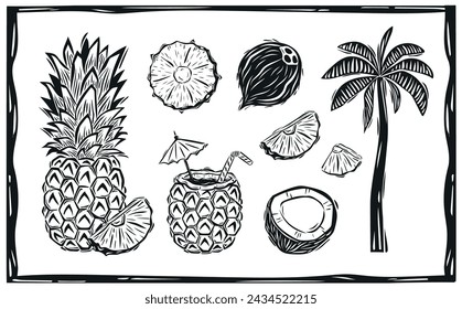 Botanical illustration of pineapple and coconut. Tropical fruits for drinks. Woodcut style illustration