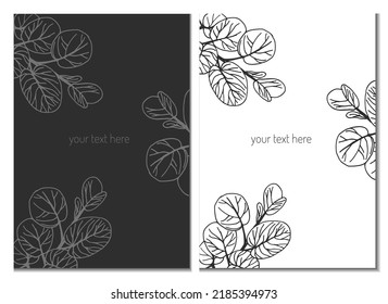 Botanical illustration with place for text. Plants for packaging, covers, business cards, invitations. Sprigs of plants on a white and gray background