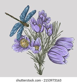 ilustración botánica de elementos vegetales crocus con flores azules y libélula