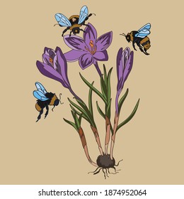 Botanical illustration with plant elements with lilac flowers and bumblebees