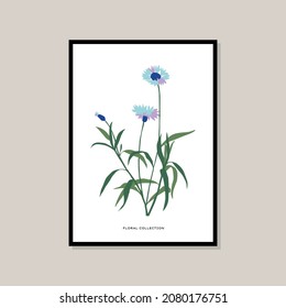 Botanical illustration print poster for your wall art collection