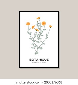 Botanical illustration print poster for your wall art collection