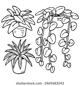 botanical illustration set of beautiful indoor decorative house plants in black and white hand drawn outline drawing style