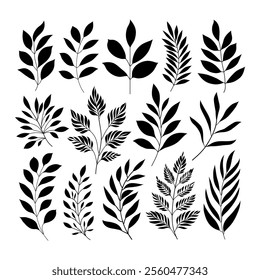 botanical illustration set leaf and branch. Black silhouettes leaves minimalist vector style. For logos, and decor, fabric prints, greeting cards, packaging.