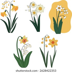 A botanical illustration showcasing various daffodils and lily of the valley arrangements, rendered in a clean, minimalist style.
