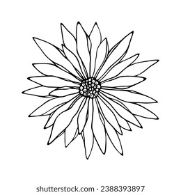 Botanical illustration of a tropical flower, hand-drawn, vector. Black and white contour flower marker for coloring. A decorative element for a holiday, decoration, design, invitation.