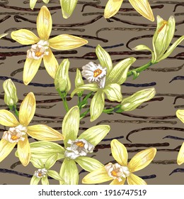 Botanical Illustration Of Vanilla Orchid
Realistic Drawing, Sweet Fragrant Fresh Vanilla Flower, Vanilla Dry Sticks Set Close-up On Dark Background, Buds, Branch, Liana, Foreground, Seamless Pattern