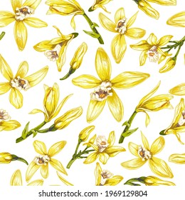 botanical illustration of vanilla orchid,realistic drawing, sweet fragrant fresh vanilla flower, vanilla dry sticks set close-up, buds, branch, liana, foreground, seamless pattern