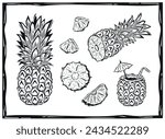 Botanical illustration of whole and sliced pineapple. Tropical fruit hand-drawn in woodcut style. Vector illustration