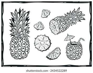 Botanical illustration of whole and sliced pineapple. Tropical fruit hand-drawn in woodcut style. Vector illustration