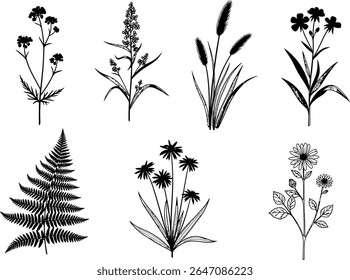 Botanical illustrations in black and white showcasing wildflowers, grasses, ferns, and daisies. The delicate silhouettes of various plants are perfect for nature-inspired designs and elegant decorativ