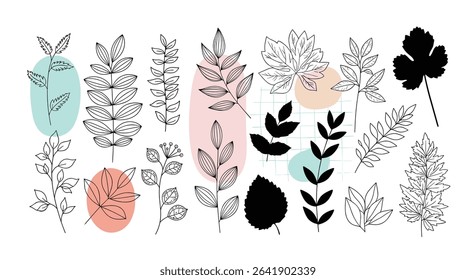 Botanical Illustrations Leafy Collection Natural Design Elements and Organic Motifs