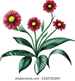 Botanical illustrations%3A Detailed drawings of plants or paintings with water colors.