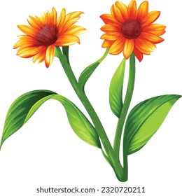 Botanical illustrations%3A Detailed drawings of plants or paintings with water colors.