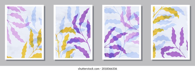 Botanical interior posters set. Summer twigs with leaves. Sage foliage exotic botanical backgrounds. Sage nature frames. Foliage vector illustration. vector design..