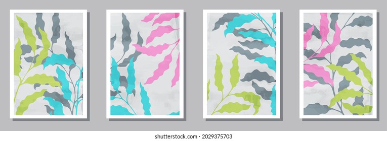Botanical interior posters set. Summer branches with foliage. Eucalyptus leaves minimalist botanical design.. Willow plant covers. Twigs vector illustration. vector design..