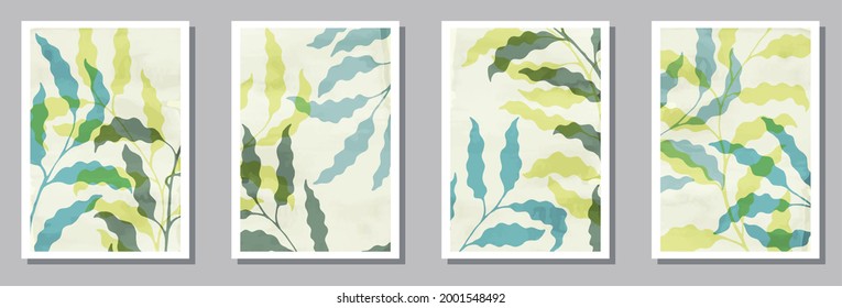 Botanical interior prints collection. Spring branches with foliage. Willow tree branches boho botanical patterns. Sage nature templates. Twigs vector illustration. vector design..