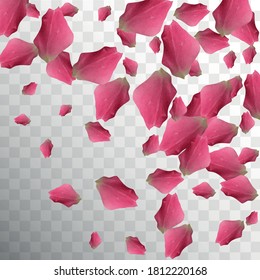 Botanical Invitation. Flying Pattern. Natural Air Petals. Soft Texture. Summer Decoration. Delicate Luxury Bloom. Spring Botanical Invitation. Realistic Wallpaper. Botanical Design.