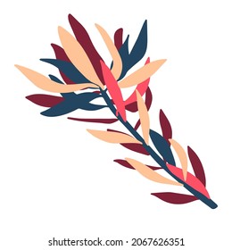 Botanical isolated design illustration of protea flowers Australian flora in bright red tones on white background. Perfect for stickers, badges, decorations, textiles.