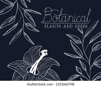 botanical label with plants and herbs