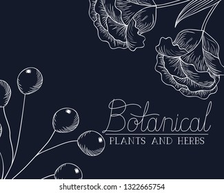 botanical label with plants and herbs