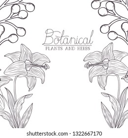 botanical label with plants and herbs