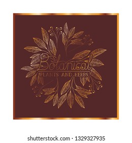 botanical label with plants and herbs