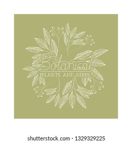 botanical label with plants and herbs