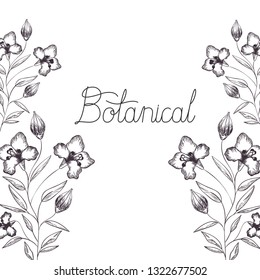 botanical label with plants isolated icon