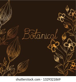 botanical label with plants isolated icon