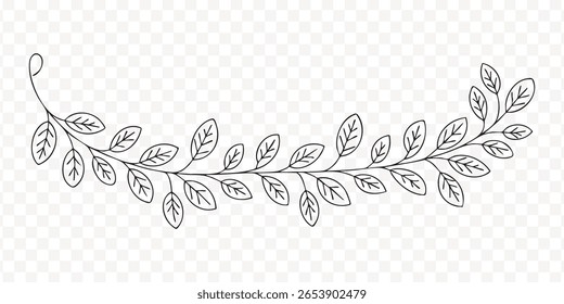 A botanical leaf branch vector png design element. Use it for invitations, decorations, and botanical illustrations.